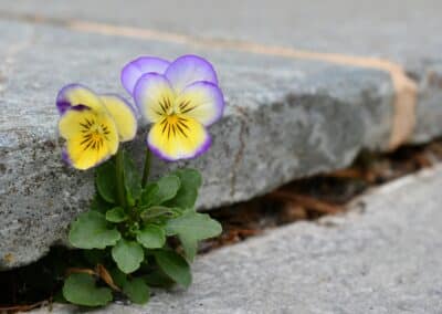 Stärken entdecken, Erfolg erleben, Ziele erreichen